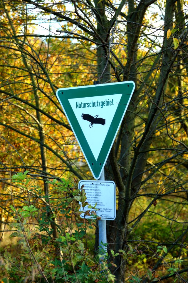 Naturschutzgebiet Seester Feld 03