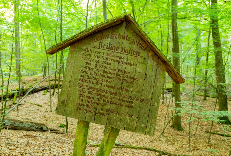 Naturschutzgebiet Heilige Hallen 12