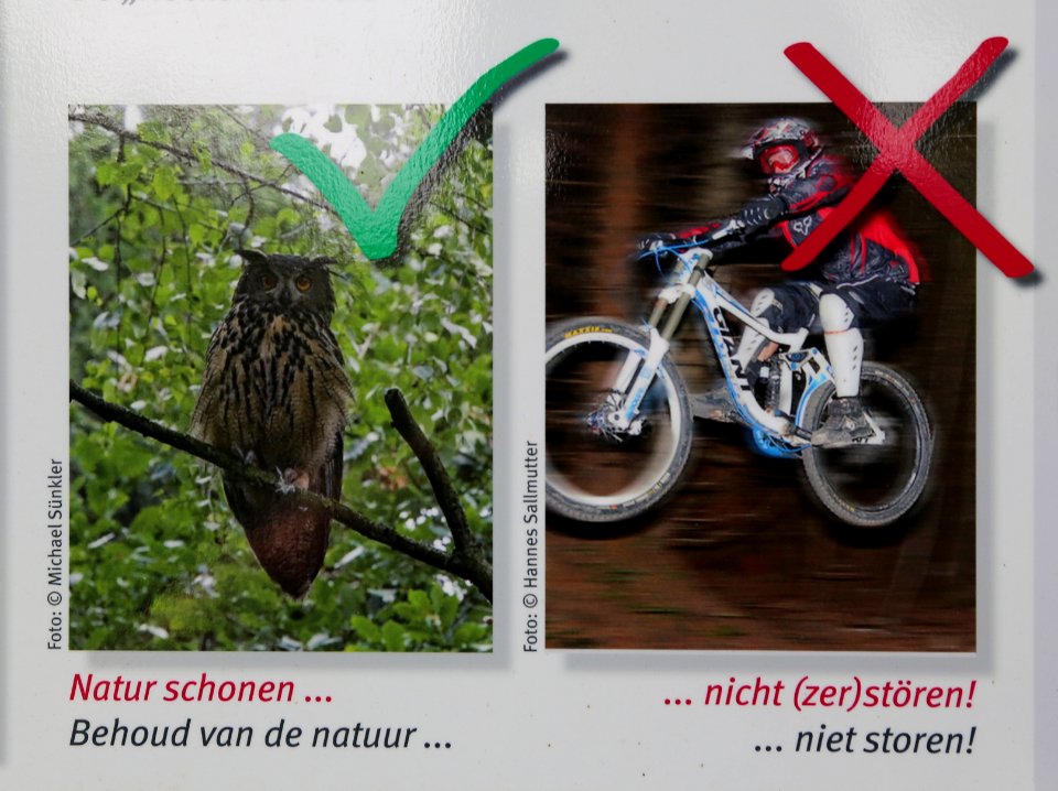 Naturschutzgebiet Doerenther Klippen Informationstafel 02