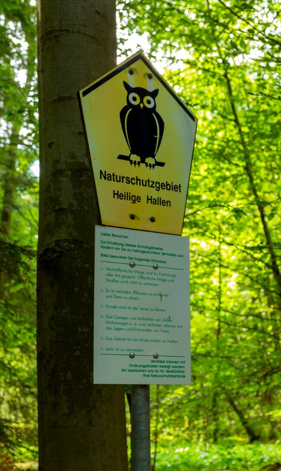 Naturschutzgebiet Heilige Hallen 24