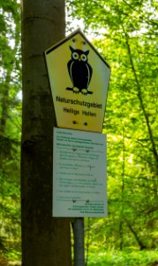 Naturschutzgebiet Heilige Hallen 24