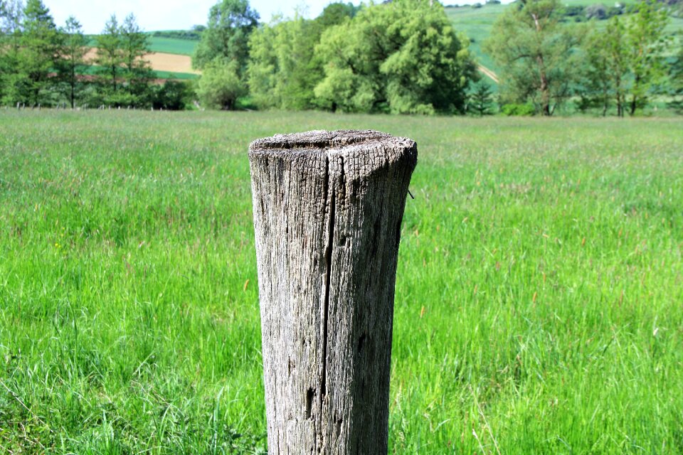 Post wooden posts fence post photo