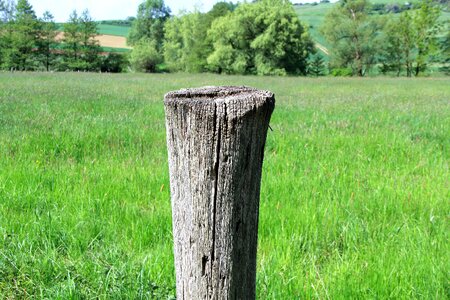 Post wooden posts fence post photo
