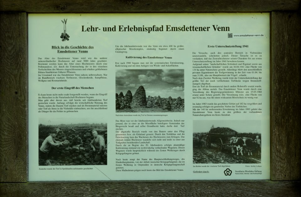 Naturschutzgebiet Emsdettener Venn Lehr und Erlebnispfad 04