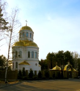 Lutizh9