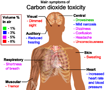 Main symptoms of carbon dioxide toxicity photo