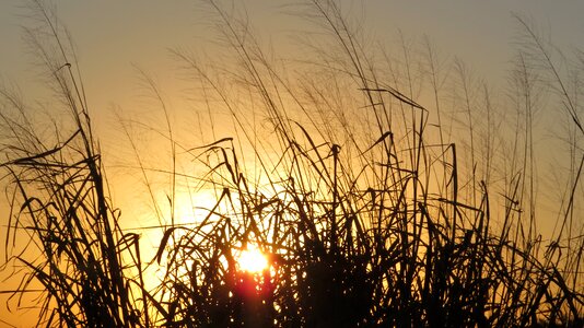 Crop landscapes sky