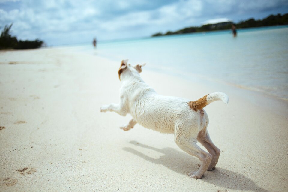 Beach sand summer