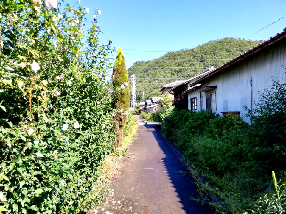 Meitetsu Minomachi line 20201011 04