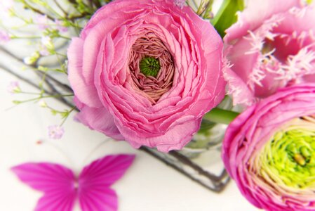 Tulip pink vase