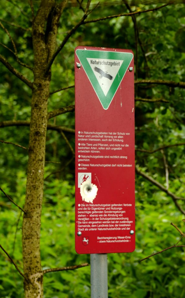 Naturschutzgebiet Neuenkirchener Moor Informationsschild 01