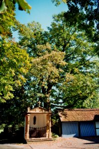 Mettingen Prozessionshaeuschen Nordhausen 3