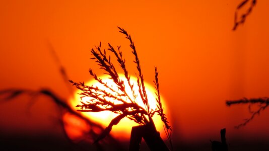 Landscapes harvest crop