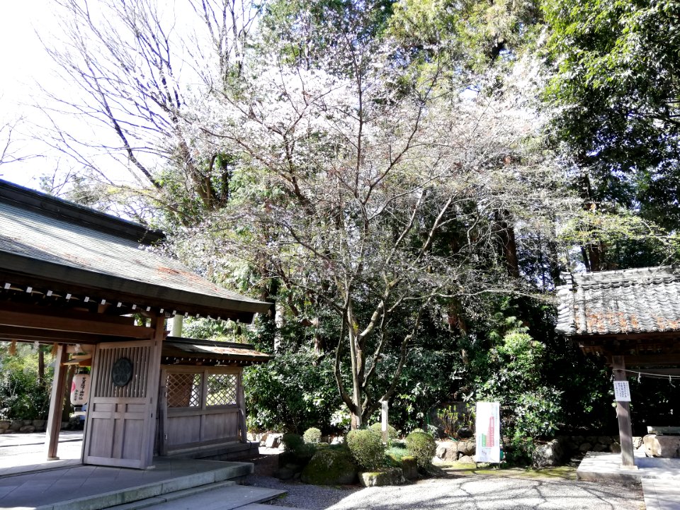 Nagara Tenjin Shrine 20210317 13