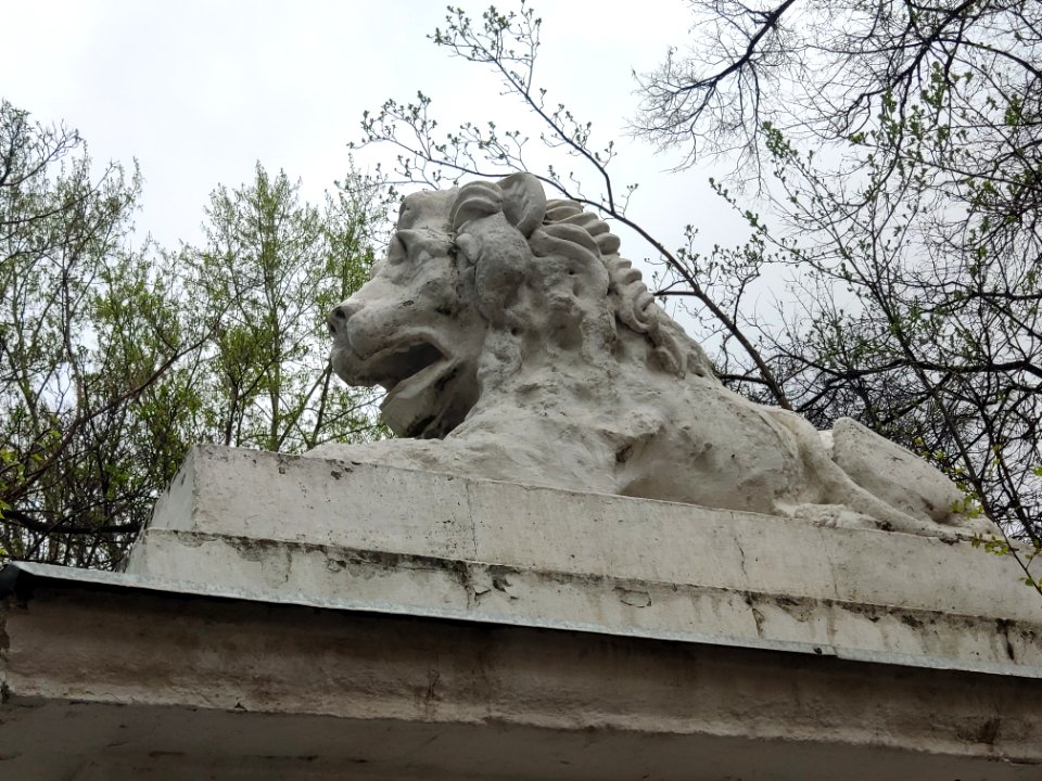 Mariinskaya Hospital - lion - 2021-05-01