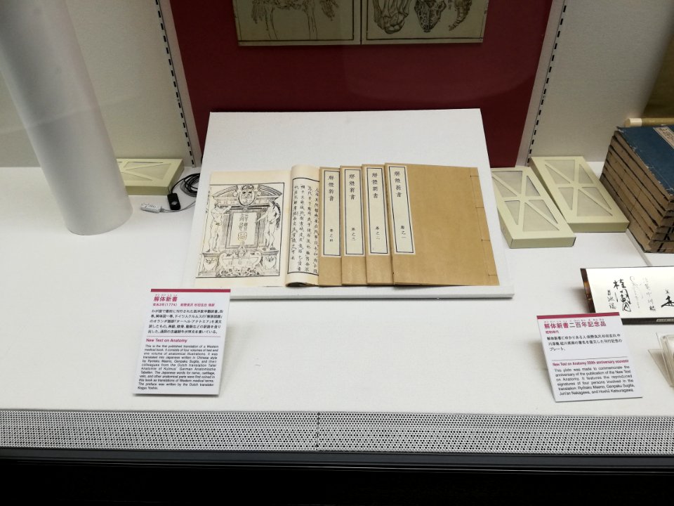 Naitō Museum of Pharmaceutical Science and Industry 20210529 10
