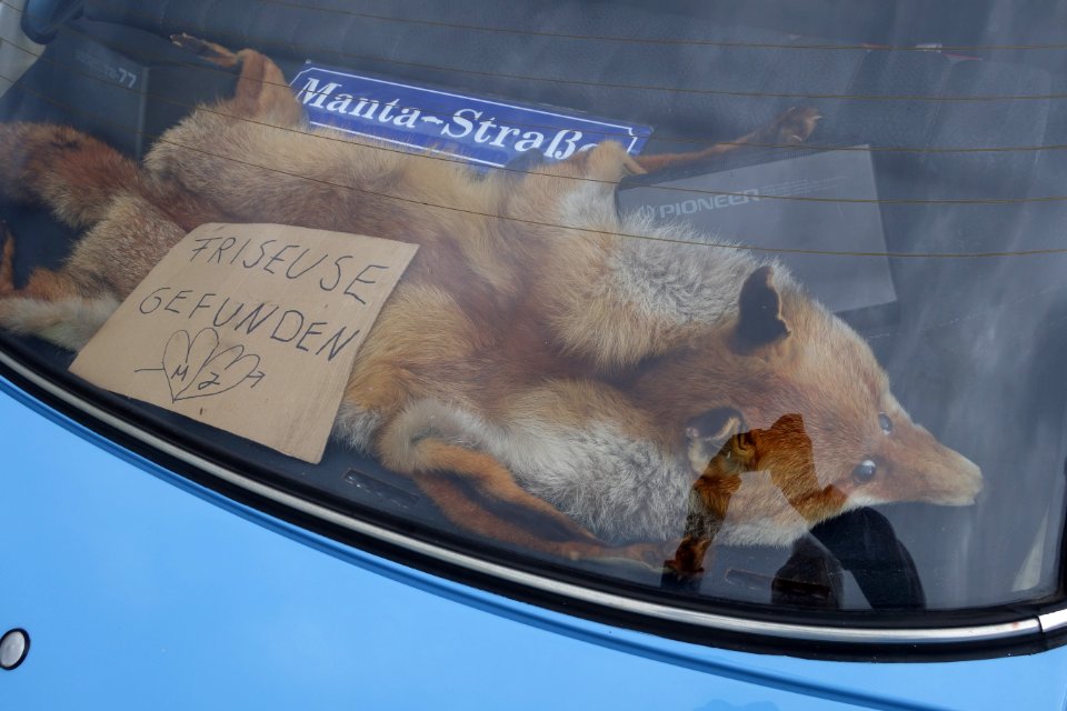 Mantafahrer-Treffen auf der Königsallee, Düsseldorf 23. August 2020 (1)