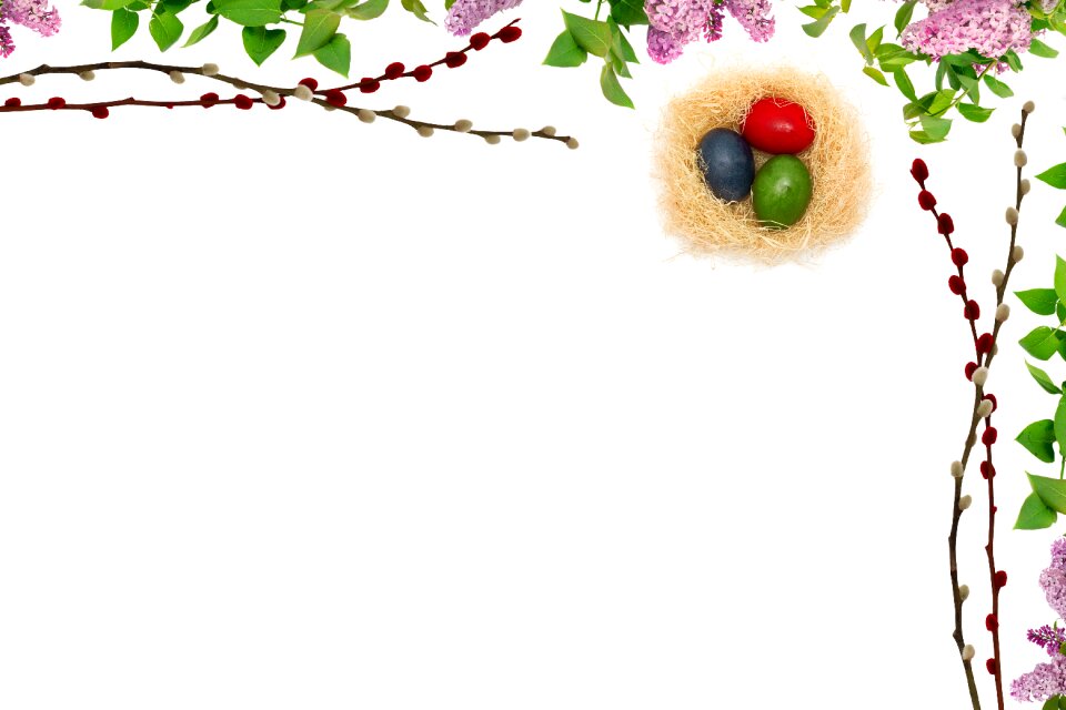 Picture frame flower color
