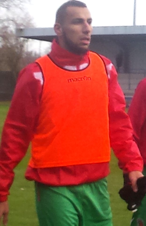 Lens B - Sedan (24-01-2015) 8 (cropped)