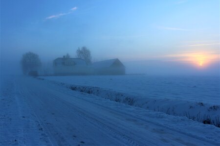 Snow frost nature