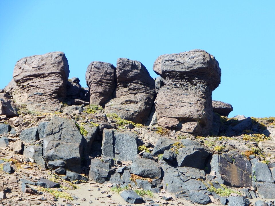 Stone mushrooms landscape nature