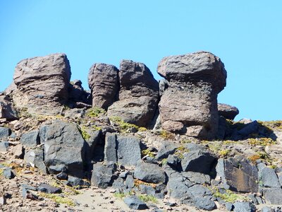 Stone mushrooms landscape nature