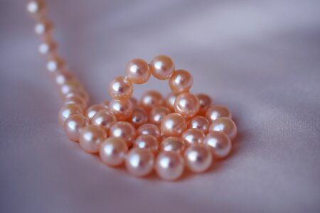 Jewelry necklace shine