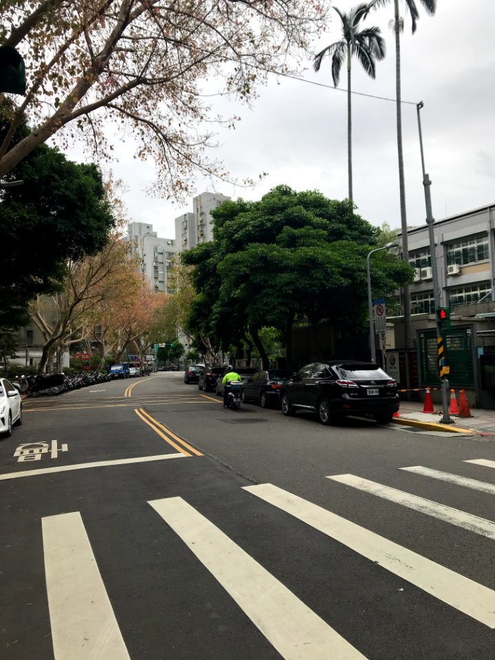 Lane 199, Dunhua North Road View from West 20180416a