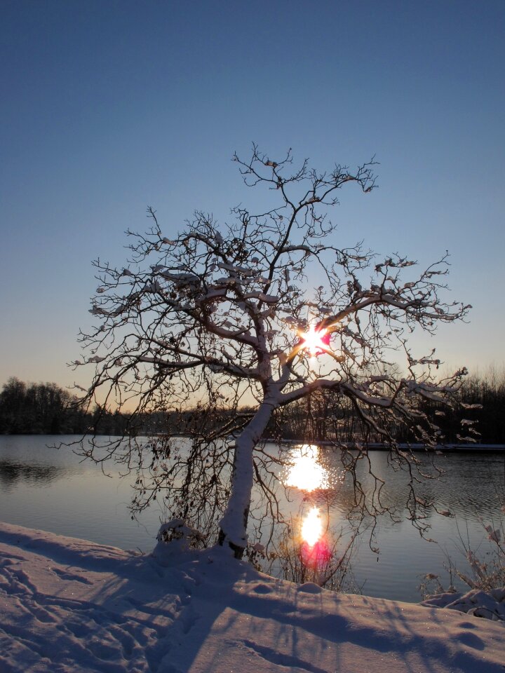 Free picture river sun