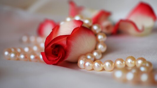 Closeup jewelry shine