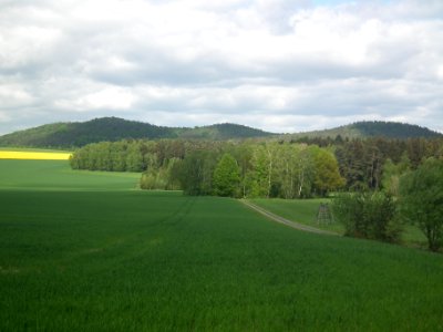 Lasensteine 2015-05-14 01