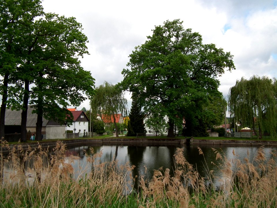 Laußnitz 2017-05-25 04