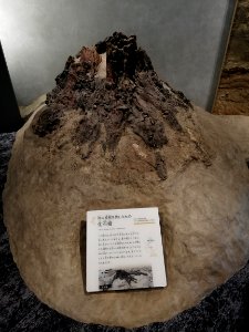 Lake Biwa Museum 20201024 03