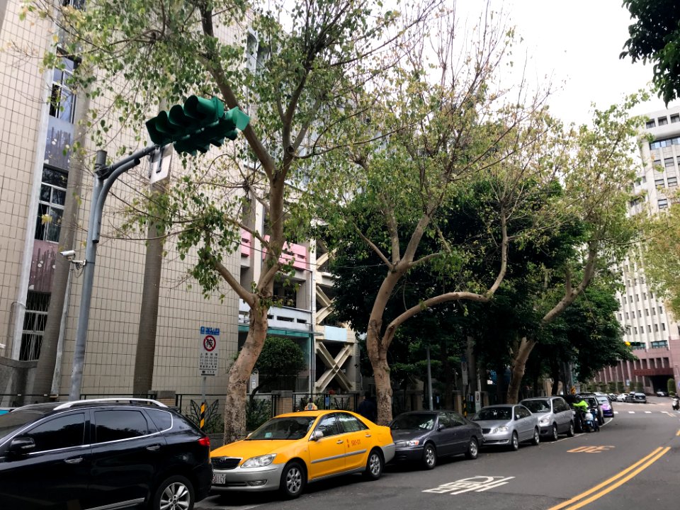 Lane 199, Dunhua North Road 20180416a