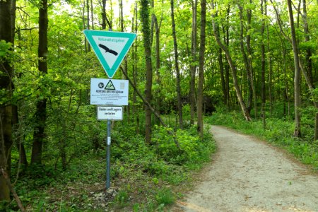 Lengerich NSG Steinbruch im Kleefeld 06