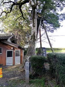Kumano Shrine (Jūshichijō) - Jūshichijō Castle 20210301 02