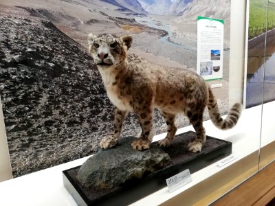 Lake Biwa Museum 20201024 39