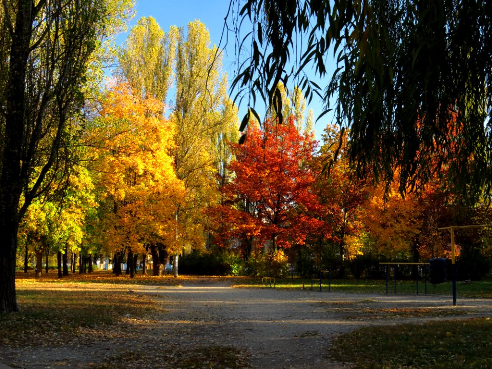 Kyiv General Potapov Park7