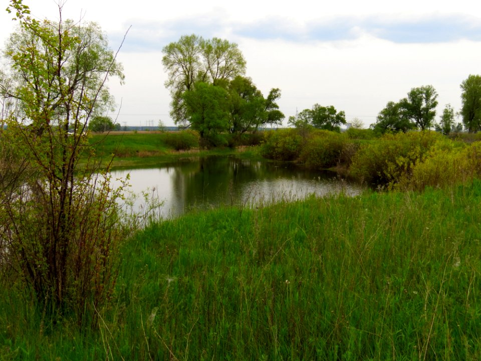 Krynka lake6