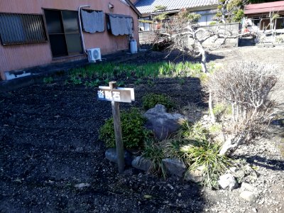 Kutsunugi Stone 20210303 01