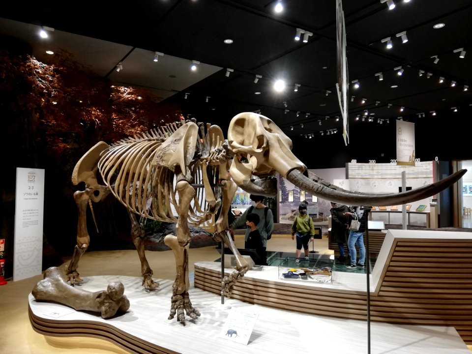 Lake Biwa Museum 20201024 08
