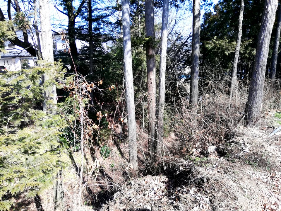 Kurata Castle 20200224 04