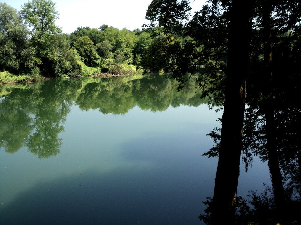 Kupa u Levkušju2