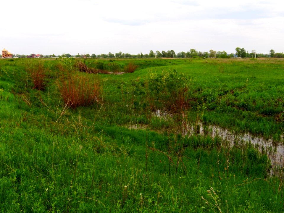 Krynka lake1