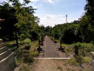 Kumano Shrine (Unuma) 20210529 12