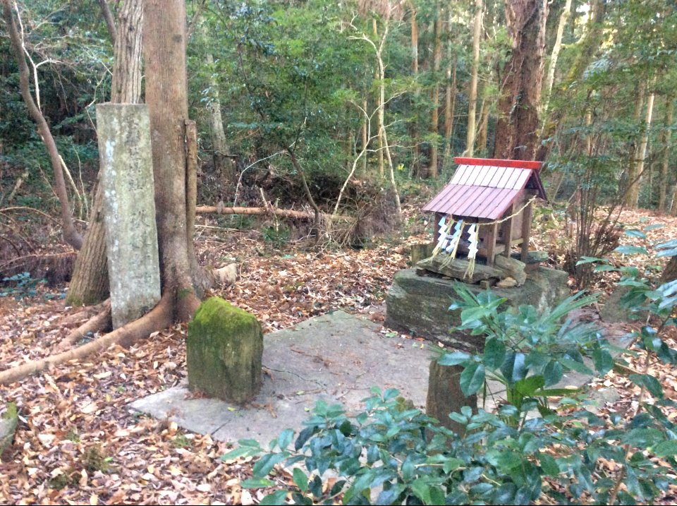 Kunushi Shrine, Yoshinogawa
