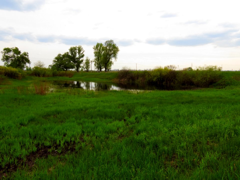 Krynka lake8