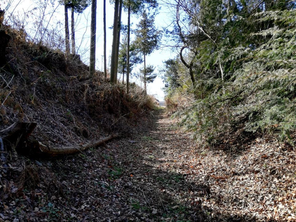 Kurata Castle 20200224 06