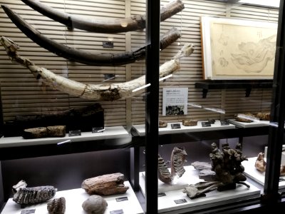Lake Biwa Museum 20201024 12