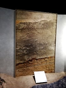 Lake Biwa Museum 20201024 04